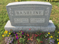 David Lester Bashline 