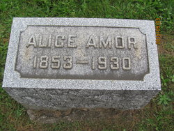 Alice Amor 