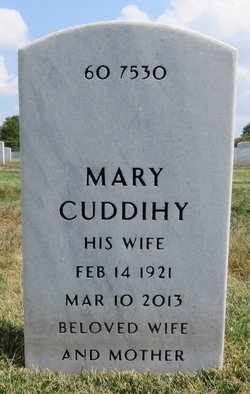 Mary Josephine “Jo” <I>Cuddihy</I> Perkinson 