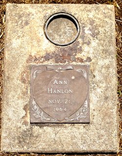 Ann Hanlon 