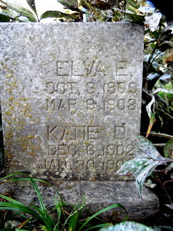 Elva E. Aylor 