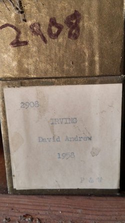 David A Irving 