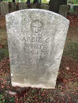 Abbie C White 