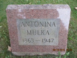 Antonina <I>Konwinski</I> Mulka 