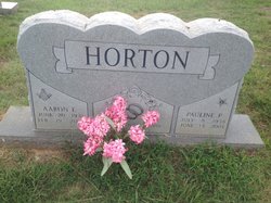 Aaron E Horton 