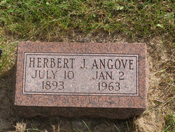 Herbert John Angove 