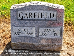 David E Garfield 