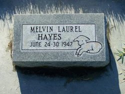 Melvin Laurel Hayes 