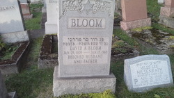 David  A. Bloom 