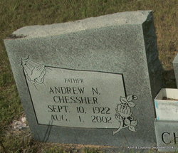 Andrew N Chessher 