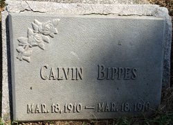 Calvin Bippes 