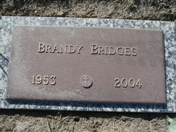 Brandy <I>Hanover</I> Bridges 