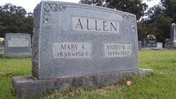 Mary Ann <I>Russell</I> Allen 