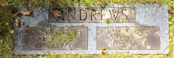 Albion West Andrews 