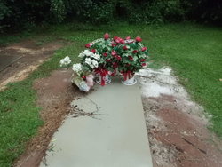 New Grave 