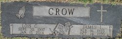 Lois Christine <I>Staal</I> Crow Drain 