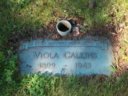 Viola <I>Grundman</I> Calkins 