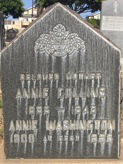 Annie Collins 