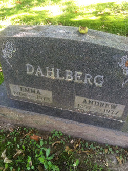 Andrew Dahlberg 