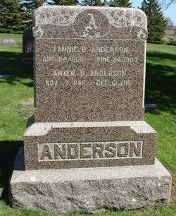 Andrew Berdahl D. Anderson 