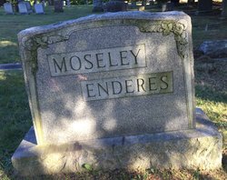 Isola M <I>Moseley</I> Enderes 