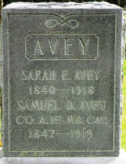 Samuel D. Avey 