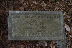 Annie Louise “Anne” <I>Johnson</I> Beach 