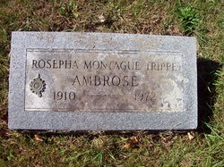 Rosepha Montague “Cee Cee” <I>Trippe</I> Ambrose 