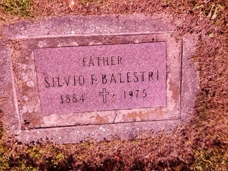 Silvio F Balestri 