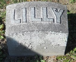Lilly Allen 