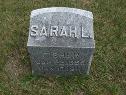 Sarah L Fisher 