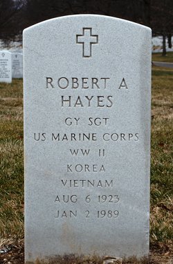 Robert A Hayes 