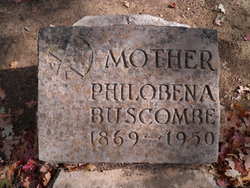 Philobena <I>Osterman</I> Buscombe 