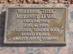 William Phelps Meleney Sr.