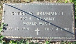 Estel W Brummett 