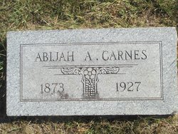 Abijah Ann <I>Lewis</I> Carnes 