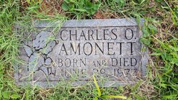 Charles Odell Amonett 