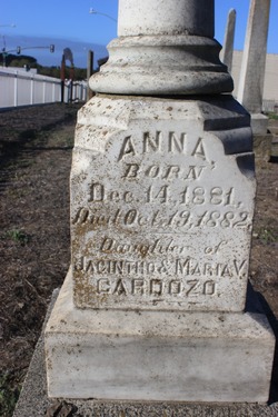 Anna Cardozo 