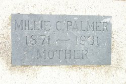 Millie Christine <I>Brown</I> Palmer 