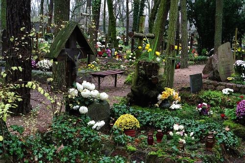 Cmentarz Leśny w Laskach