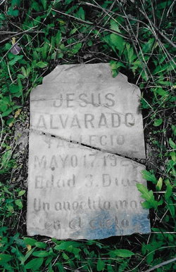 Jesus Alvarado 