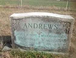 Missouri <I>Brinson</I> Andrews 