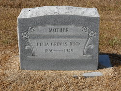 Celia Agnes <I>Groves</I> Buck 