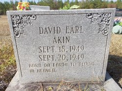 David Earl Akin 