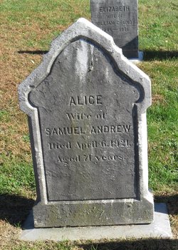 Alice Andrew 