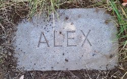 Alexander Allan 