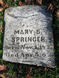 Mary <I>Sullivan</I> Springer 