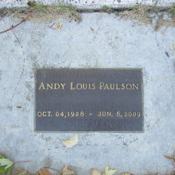 Andy Louis Paulson 