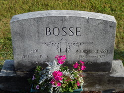 Modeste <I>Chasse</I> Bosse 