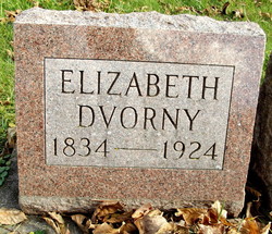 Elizabeth Dvorny 